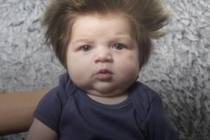 baby-bear-bouffant-hair-just-broke-the-internet-hes-adorable-and-we-just-cant-get-enough