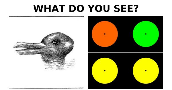 What Do You See? 7 Optical Illusions With Answers To Twist ...